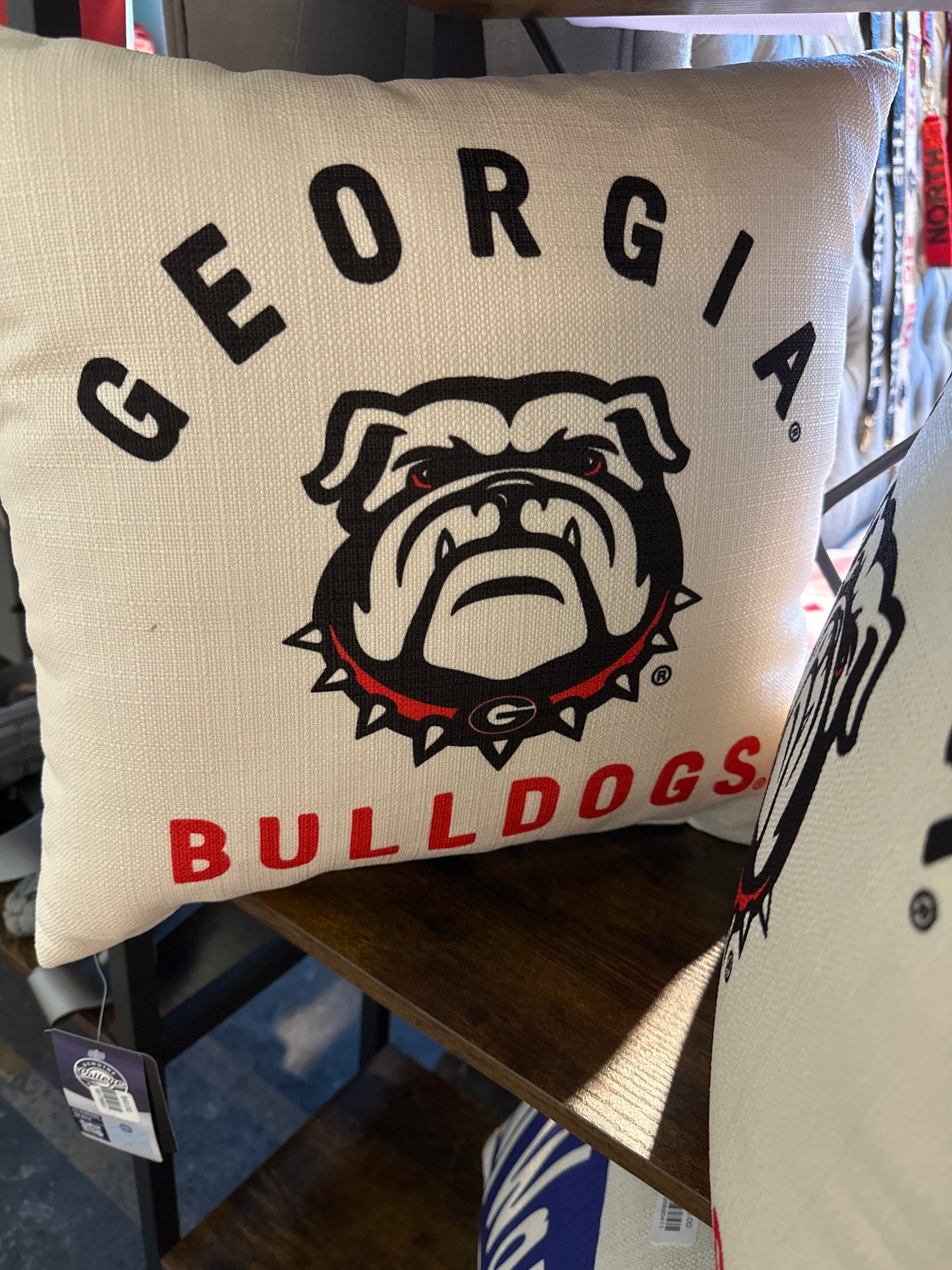 Georgia Team Arched Pillow