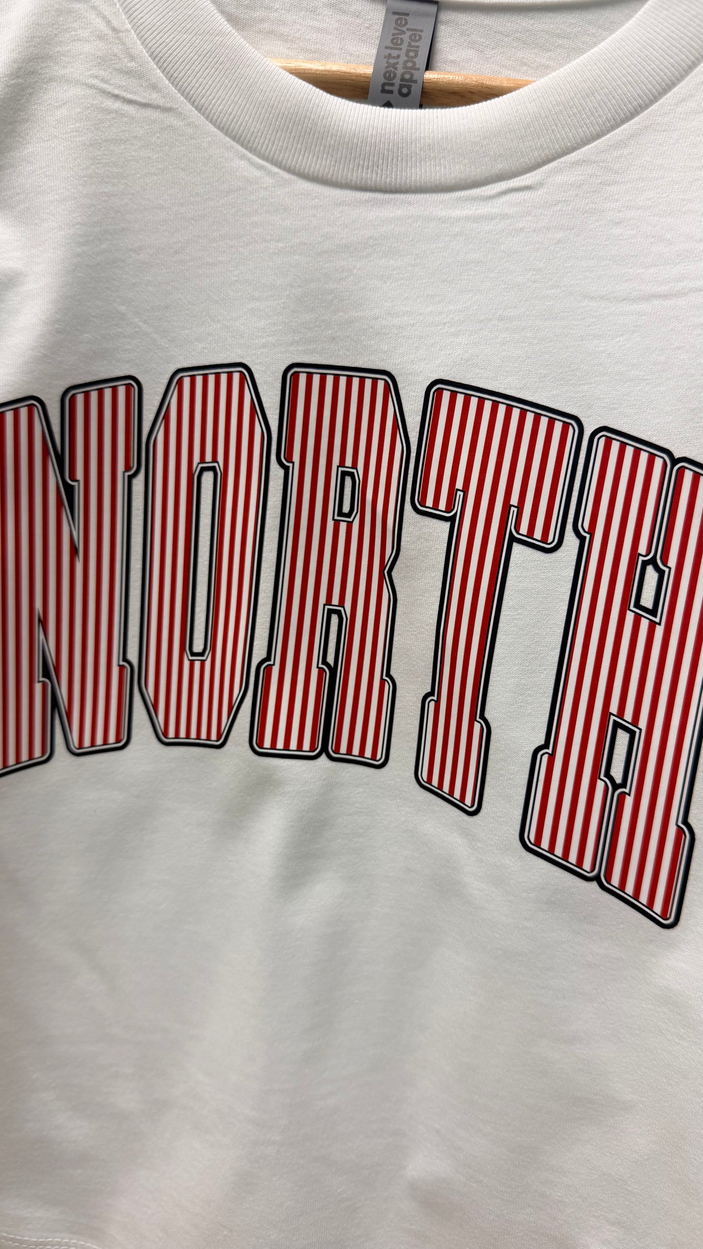 North Boxy Stripe Tee