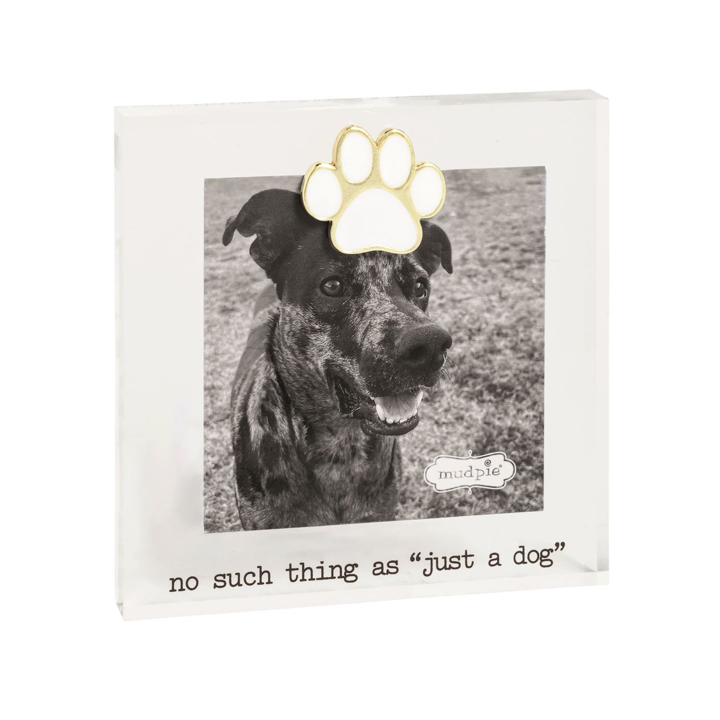 No such things as Just a Dog Frame