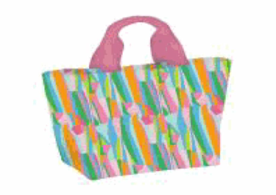 Lunch carryall