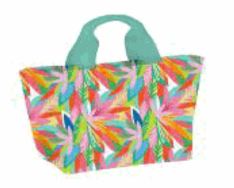 Lunch carryall