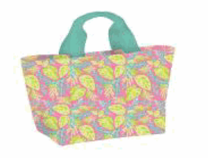 Lunch carryall