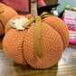 Burnt orange knit pumpkin