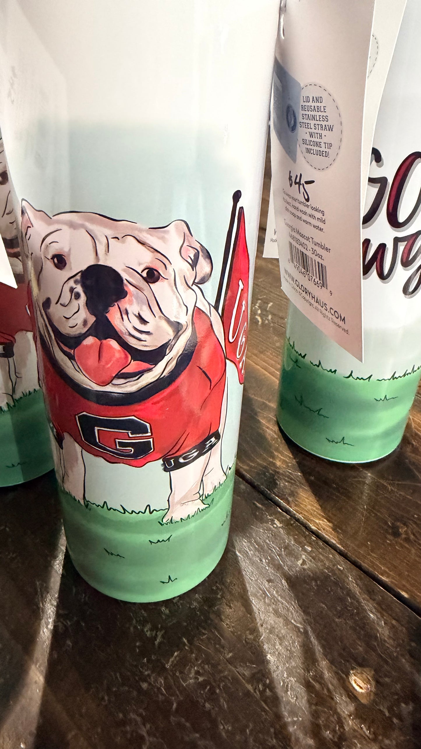 Georgia Icon Tumbler