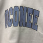 Oconee stripe heavyweight boxy tee