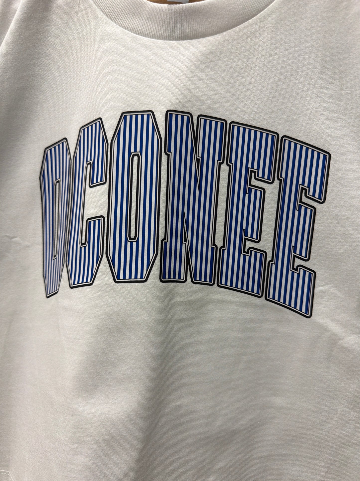 Oconee stripe heavyweight boxy tee