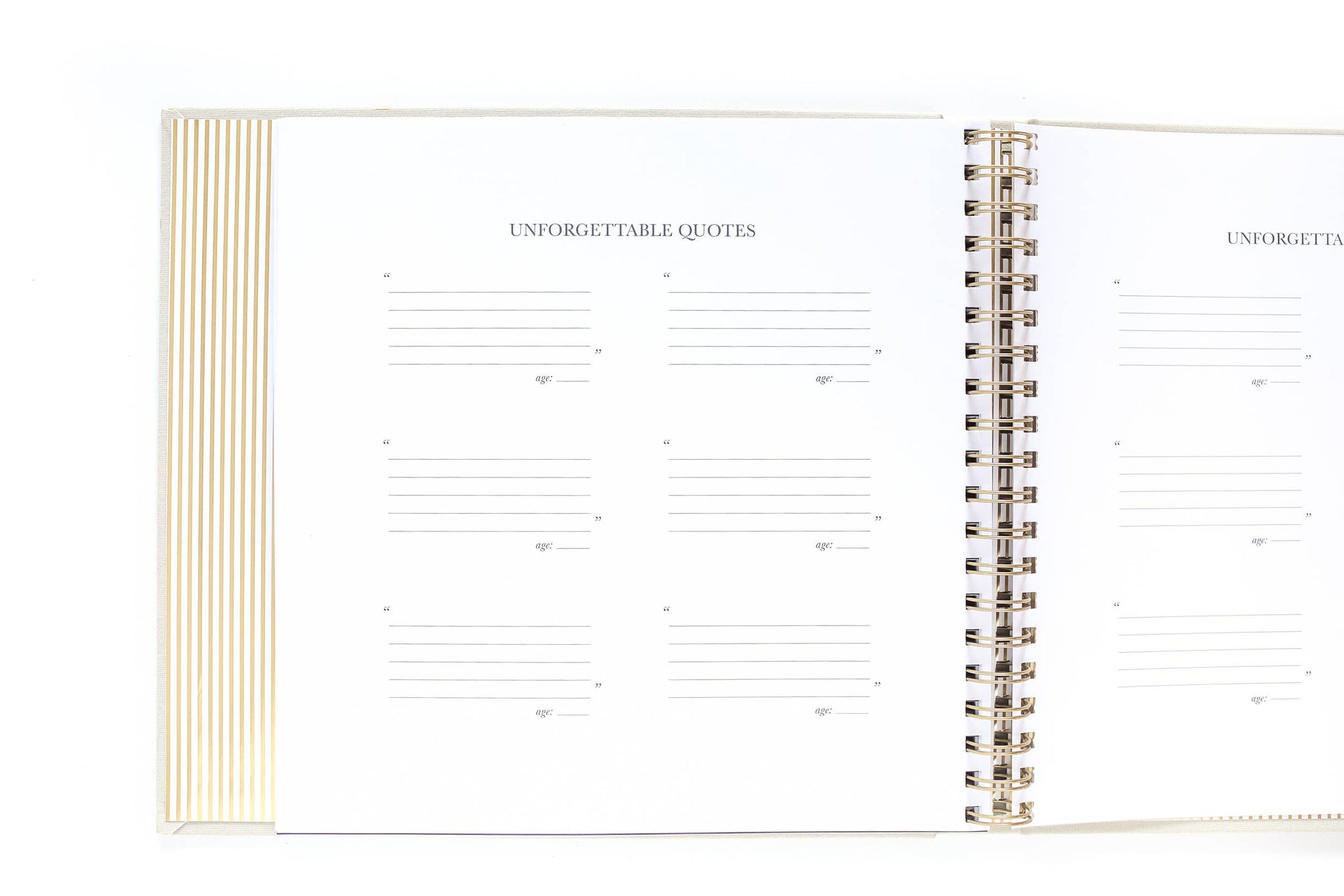 The Baby Memory Book