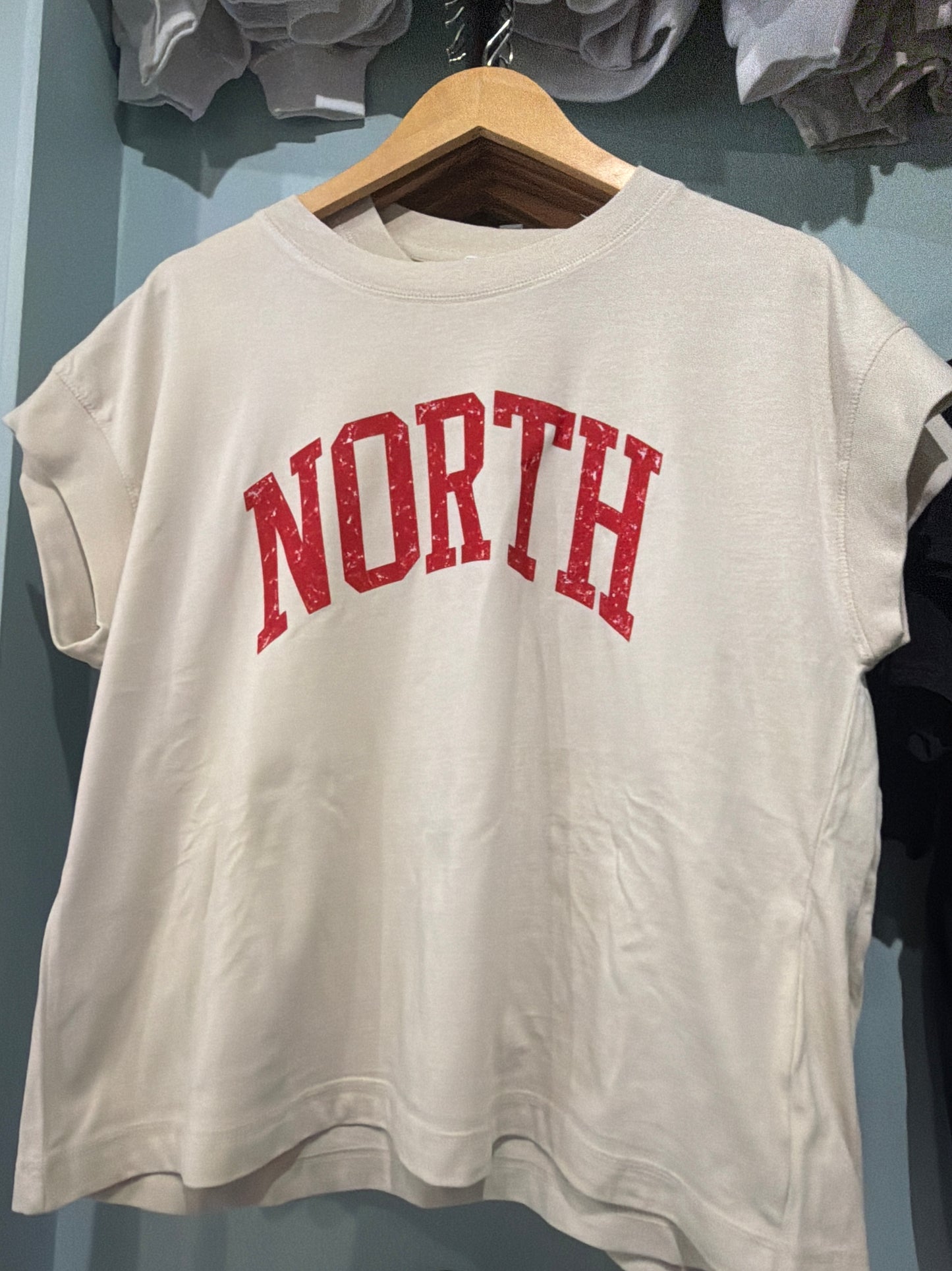 North vintage washed Top