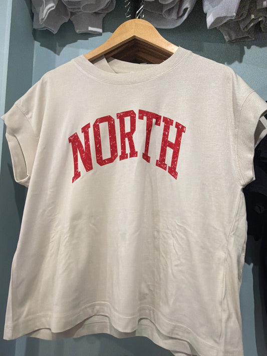 North vintage washed Top