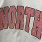 North Boxy Stripe Tee