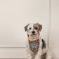 Multi Holiday Reversible Pet Bandana