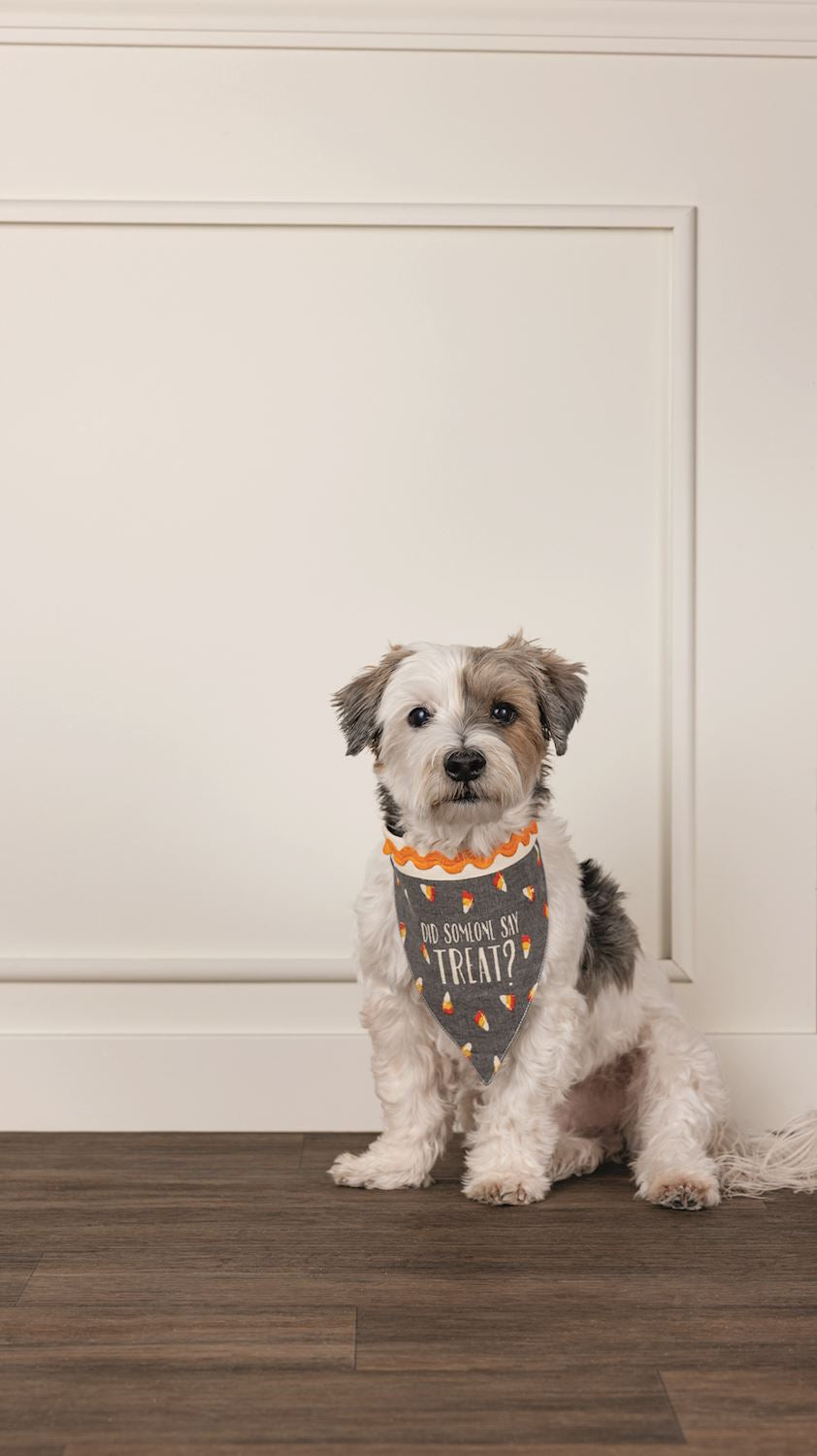 Multi Holiday Reversible Pet Bandana