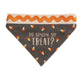 Multi Holiday Reversible Pet Bandana