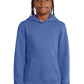 Youth OC hoodie
