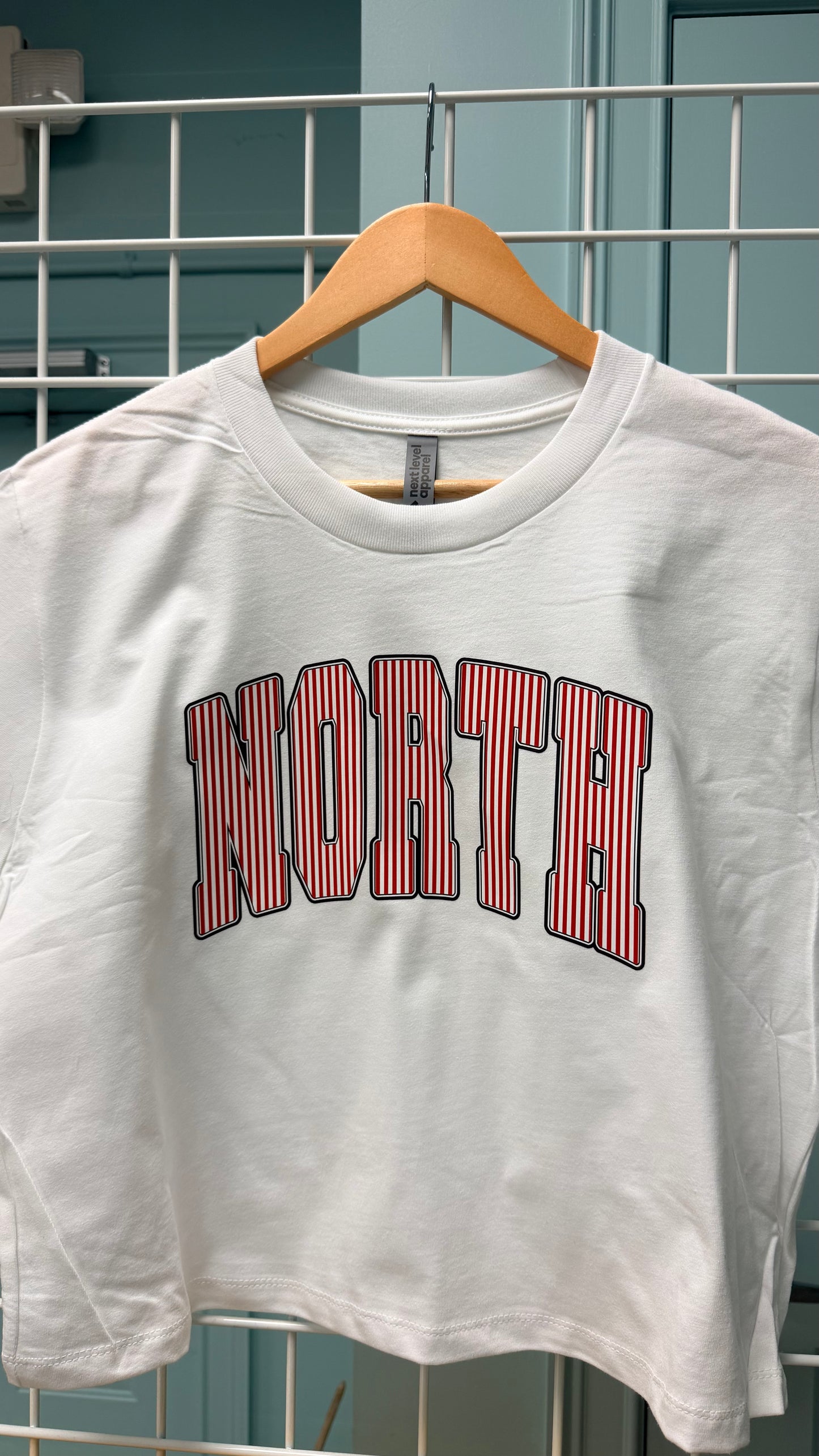 North Boxy Stripe Tee