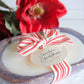 Carolina Christmas | Holiday Candle Collection **BESTSELLER: 4oz tin