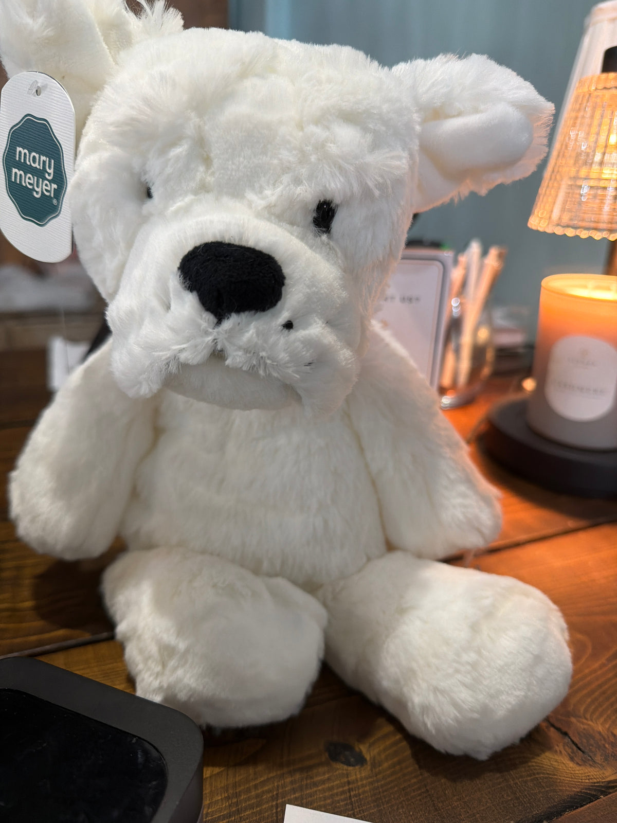 Marshmallow white bulldog
