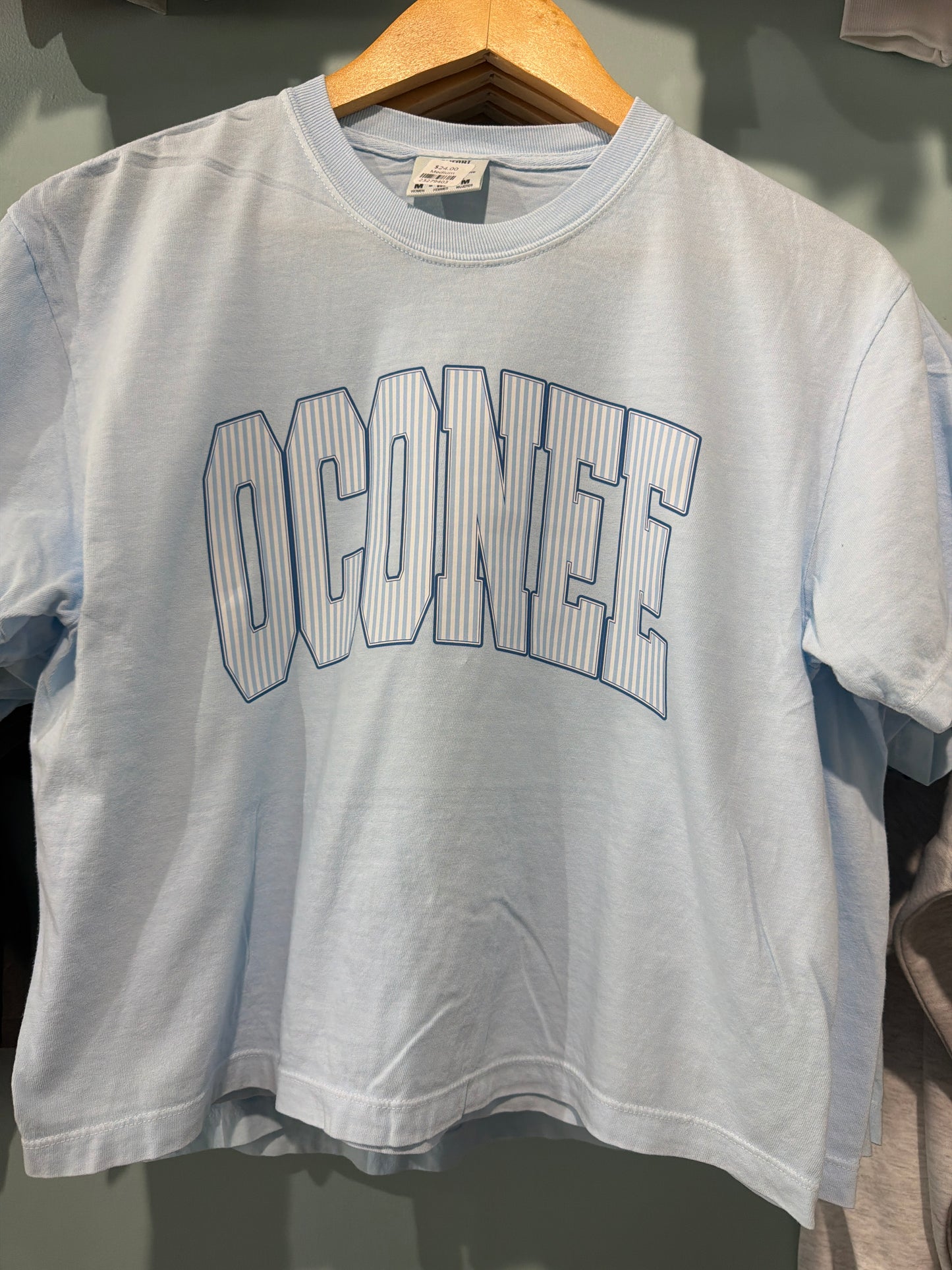 Oconee heavyweight boxy tshirt