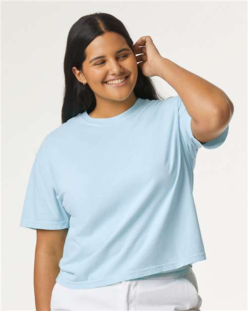 Oconee heavyweight boxy tshirt