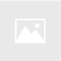 Bulldog Coin Necklace