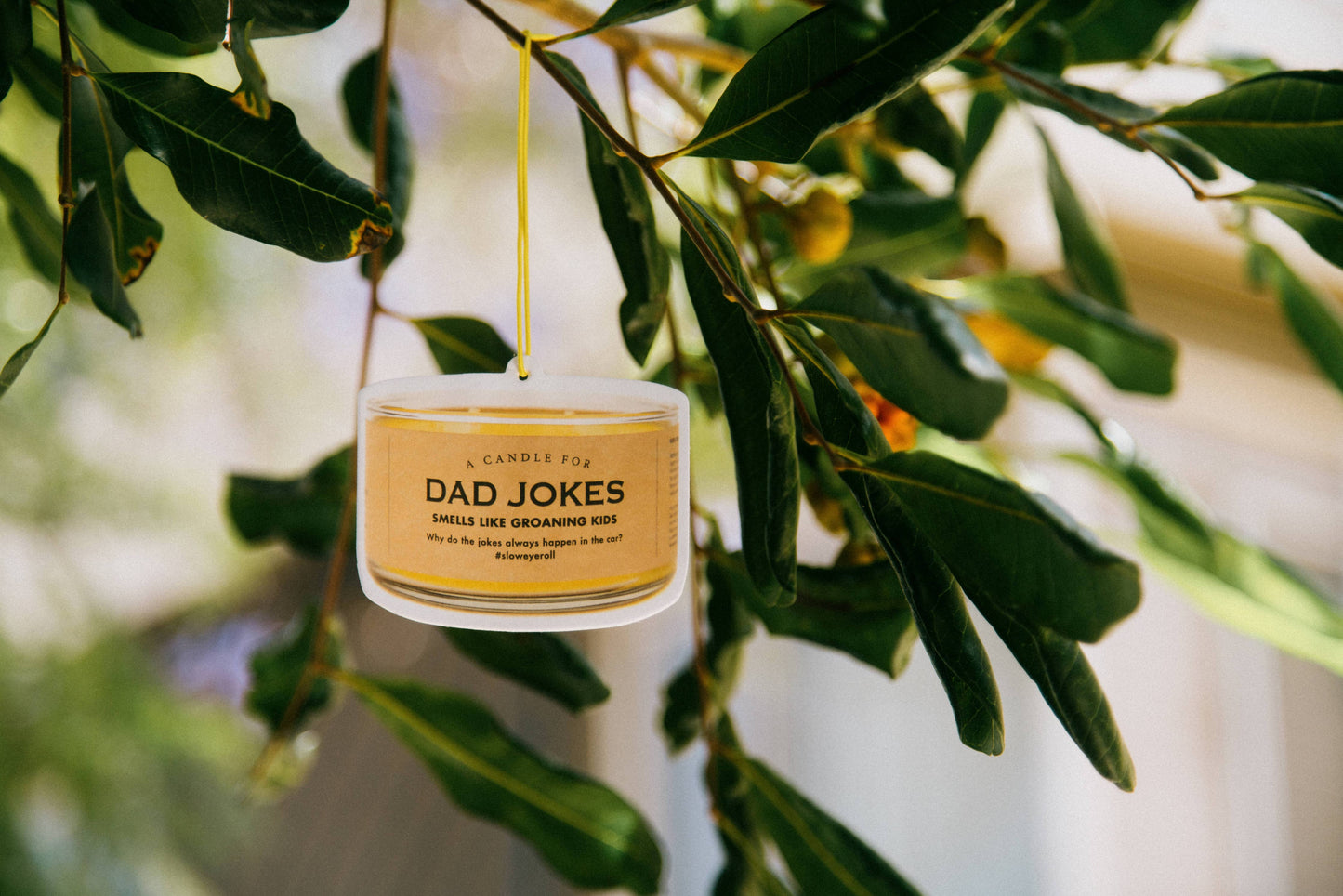 Dad Jokes Air Freshener | Funny Car Air Freshener